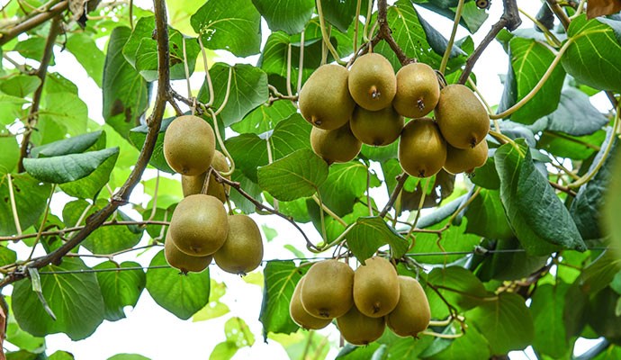 實(shí)力<em>企業(yè)</em>