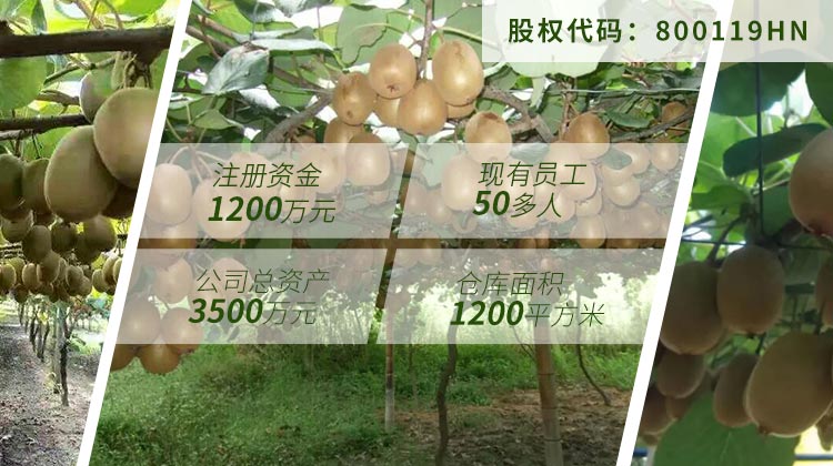 美味佳瑤