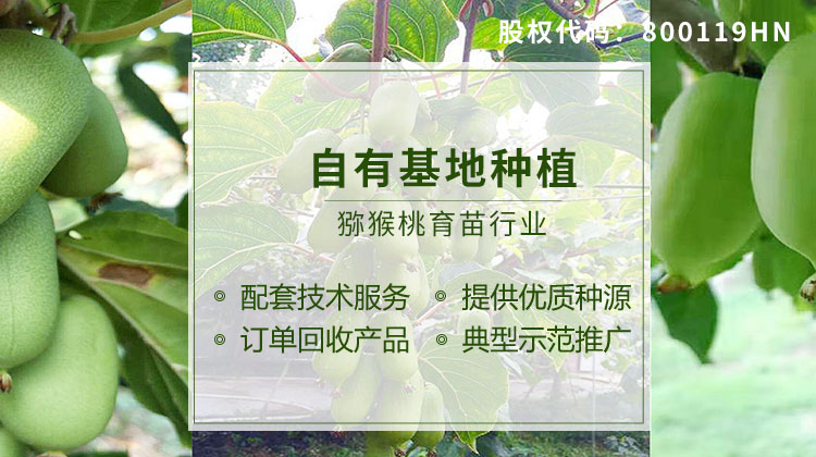 美味佳彥產(chǎn)業(yè)鏈優(yōu)勢