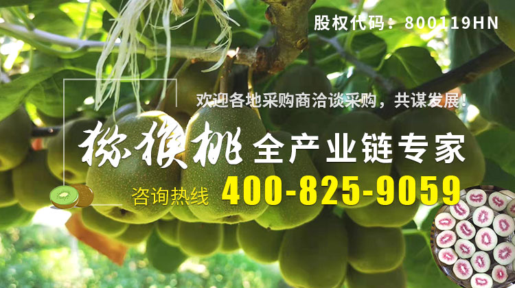 美味佳肴咨詢