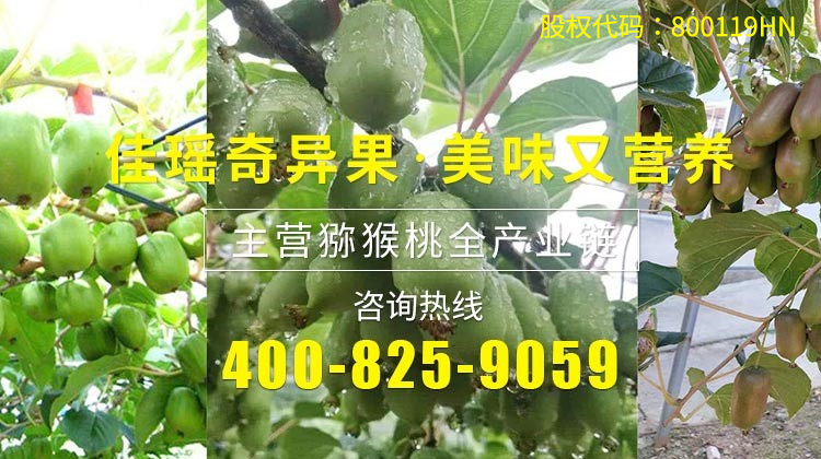 美味佳肴產(chǎn)品中心