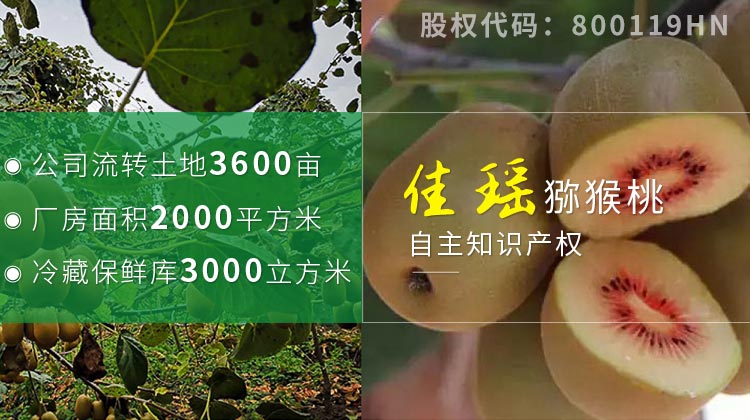 美味佳瑤