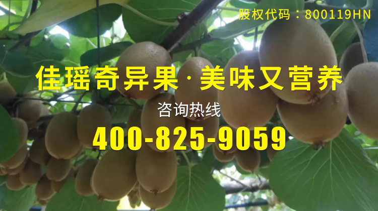 美味佳瑤